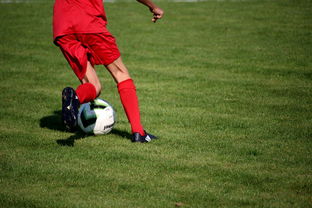 乐鱼体育官网下载-英超青训体系心理压力管理提升年轻球员稳定表现,英超球员训练时间 第3张 乐鱼体育官网下载-英超青训体系心理压力管理提升年轻球员稳定表现,英超球员训练时间 第3张